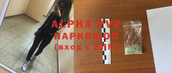 гашик Новодвинск