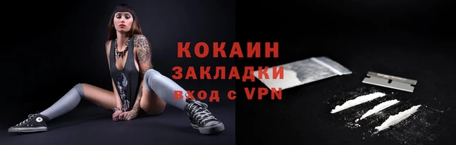 гашик Новодвинск