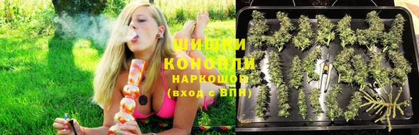 ПСИЛОЦИБИНОВЫЕ ГРИБЫ Новокубанск