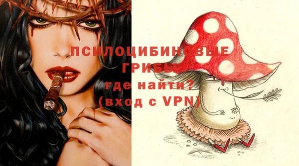 ПСИЛОЦИБИНОВЫЕ ГРИБЫ Новокубанск