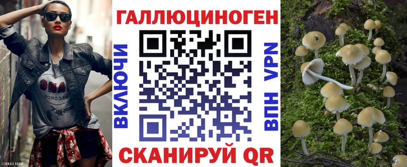Галлюциногенные грибы мицелий  дарнет шоп  Кувшиново 