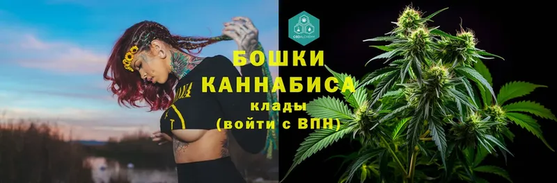 omg как войти  Кувшиново  Бошки Шишки OG Kush 